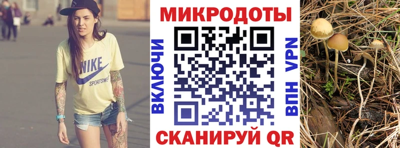 OMG ССЫЛКА  Кубинка  Псилоцибиновые грибы Magic Shrooms  где купить наркоту 